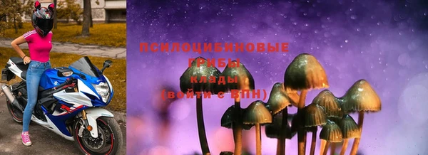 эйфоретик Гусь-Хрустальный