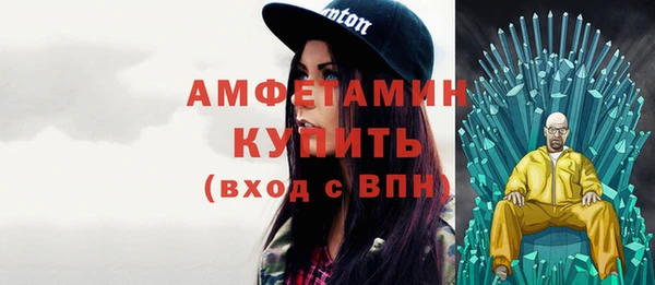 эйфоретик Гусь-Хрустальный