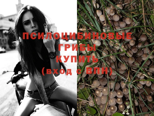 эйфоретик Гусь-Хрустальный