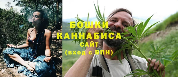 эйфоретик Гусь-Хрустальный