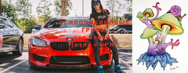 скорость Гусев