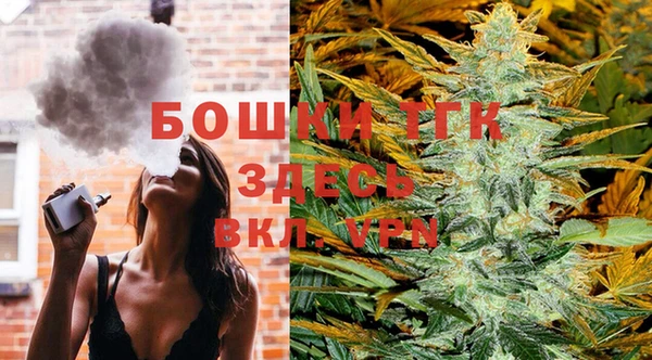 скорость Гусев