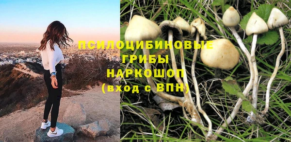 скорость Гусев