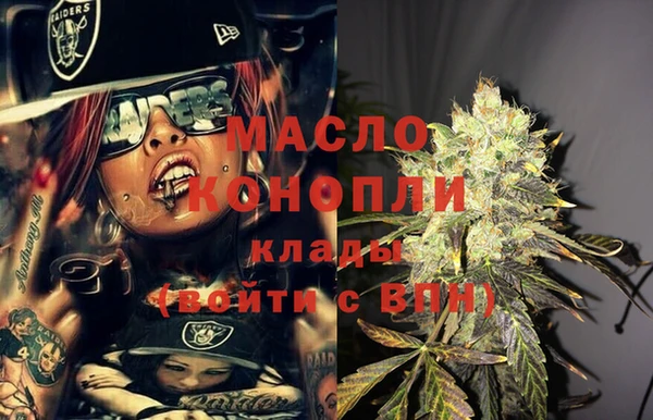 эйфоретик Гусь-Хрустальный